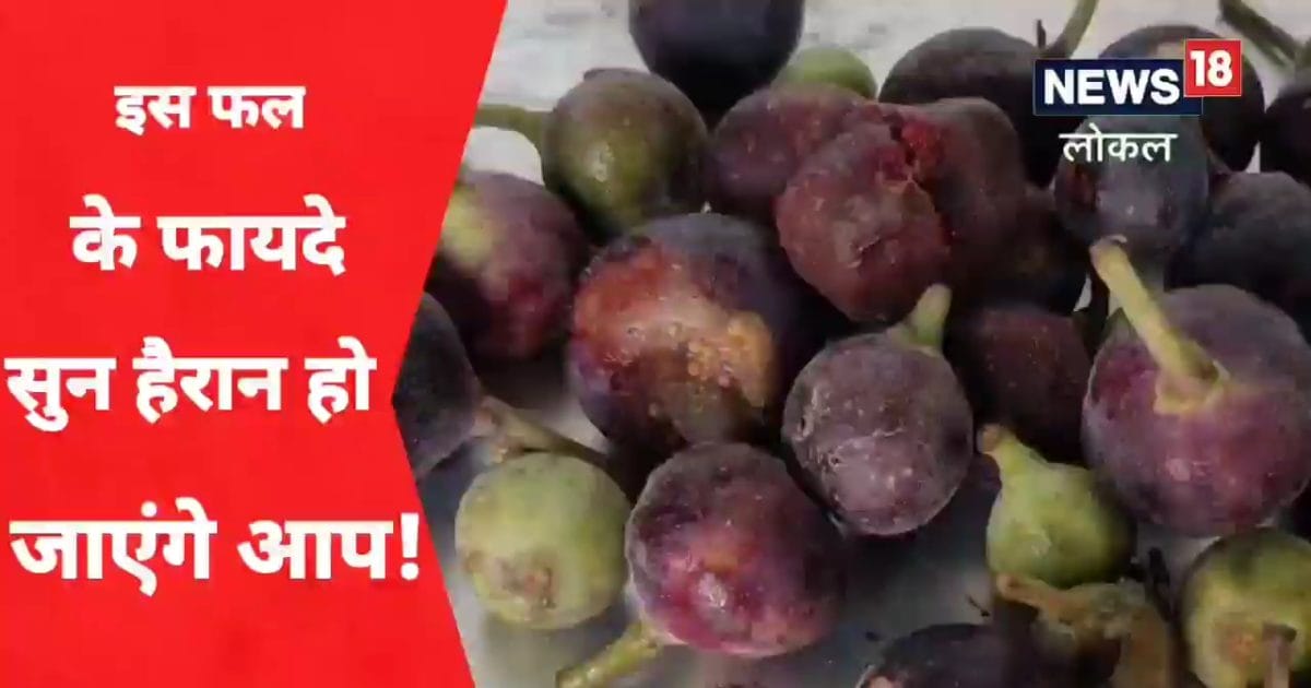 Bedu fruit aka himalayan fig along with taste it is also important for ...