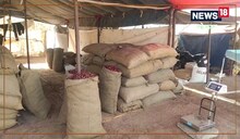 Nagaur News : नागौर में मिल रही देश की फेमस मिर्च, गुजरात से लेकर सोयला और बिराई मिर्च है मौजूद