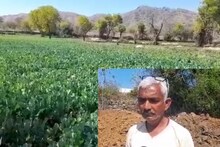 Udaipur News : नौकरी छोड़ शुरू किया जैविक खेती और खाद उत्पादन, सालाना हो रही 50 लाख की कमाई