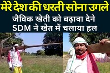 Video Viral: 'मेरे देश की धरती..' मनोज कुमार के रंग में दिखे SDM, क्यों चलाया खेत में हल?