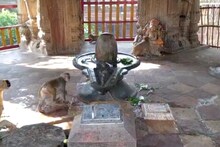 Maha Shivratri 2023: चोपड़ा महादेव मंदिर है 500 वर्ष पुराना, महाशिवरात्रि पर दूर-दूर से आते हैं शिव भक्त