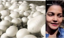 UP News: Karishma, who studied in Italy, gives agricultural training at UP, know what the mission is