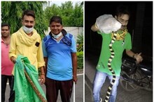 Janjgir-Champa News: पलक झपकते ही जहरीले सांपों को काबू में कर लेते हैं टिंकू, जानिए इनका हुनर