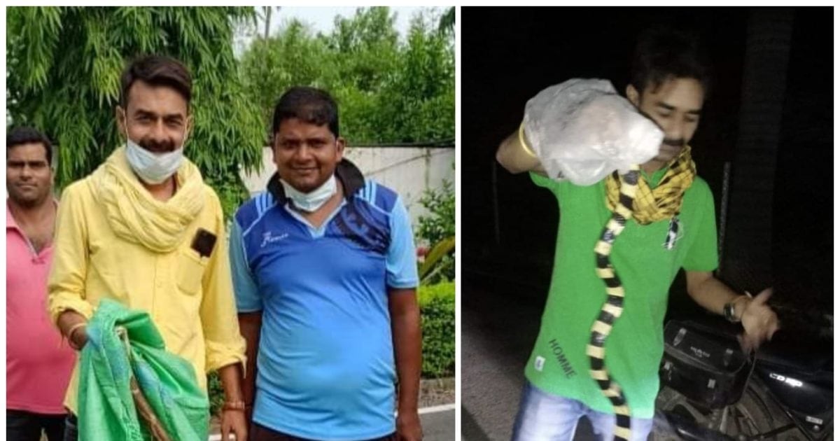 Snake catcher tinku shukla – Janjgir-Champa News: पलक झपकते ही जहरीले सांपों को काबू में कर लेते हैं टिंकू, जानिए इनका हुनर – News18 हिंदी