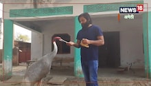 युवक और सारस पक्षी की दोस्ती बनी चर्चा का विषय, दोनों के बीच है ख़ास रिश्ता