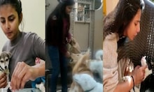 पशु प्रेम की मिसाल शैली, जानवरों के इलाज में खर्च कर देती हैं अपनी पॉकेट मनी