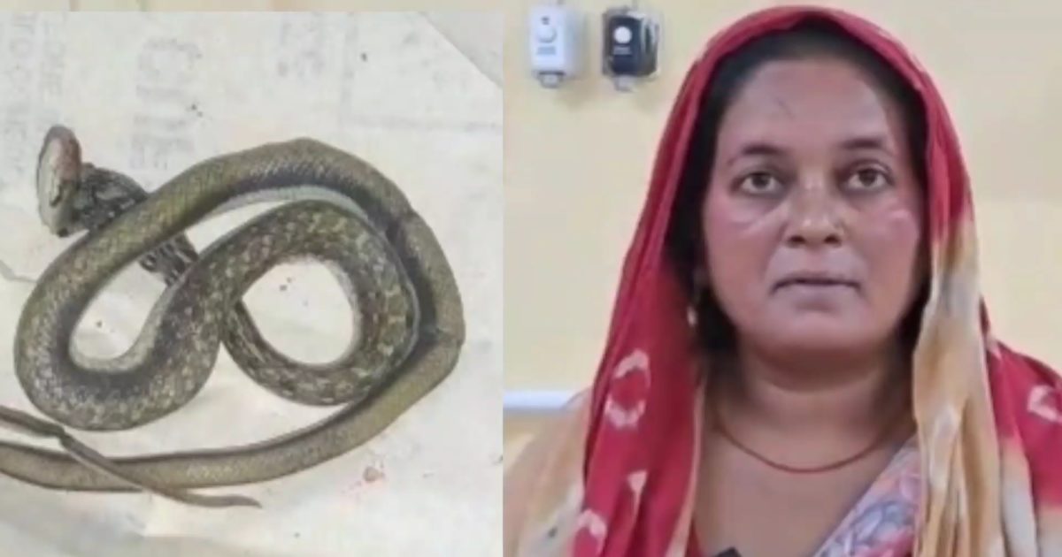 Woman took snake in hospital gujarat rajkot 'सर, इस सांप ने मुझे काटा