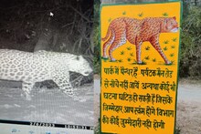 Bharatpur News: केवलादेव नैशनल पार्क में लगातार घूम रहा है पैंथर, प्रशासन ने लगाया चेतावनी बोर्ड