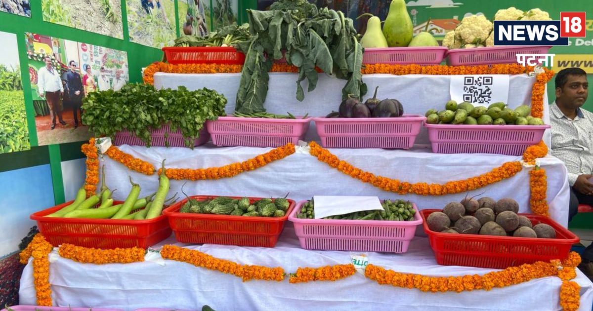 Order vegetables from this app sitting at home Patna News घर बैठे