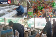 PHOTO: अब नहीं जाना पड़ेगा कोलकाता,कटिहार में हो रही रंगीन मछलियों की Breeding