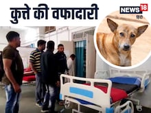 वफादारी को सलाम! कुत्ते ने अपनी जान देकर ITBP के जवानों को दी नई जिंदगी