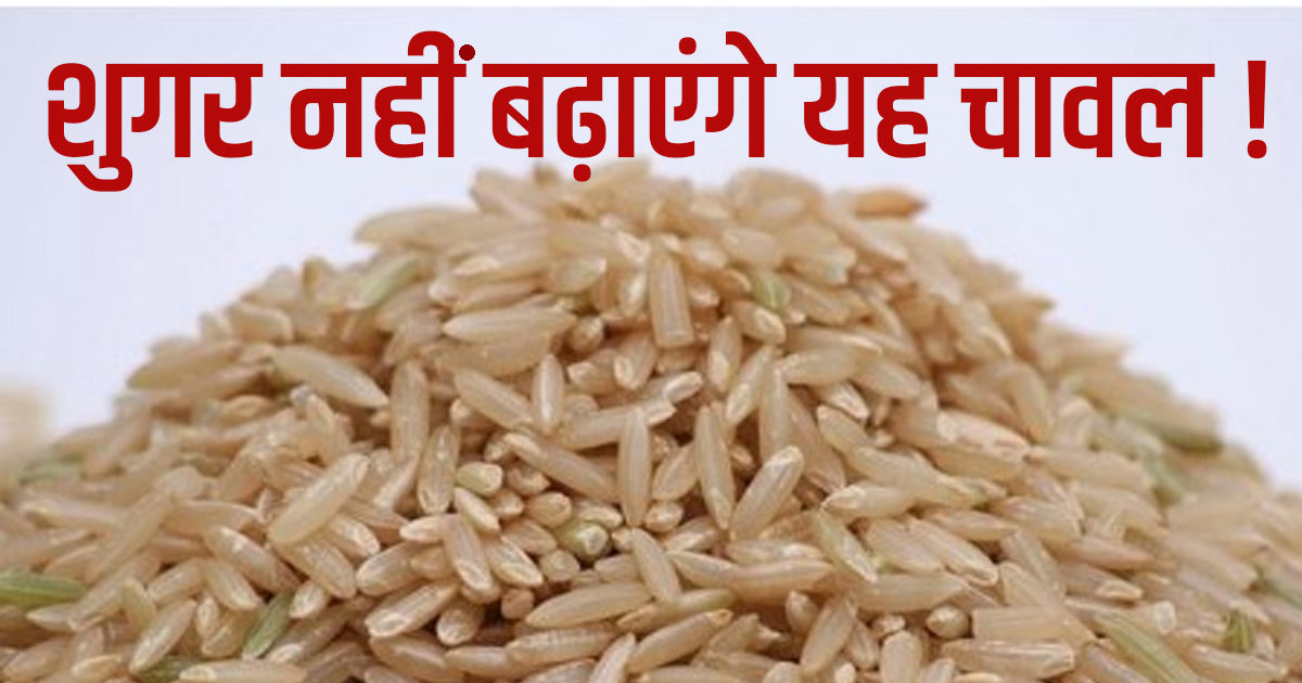 डायबिटीज के मरीजों के लिए ऐसे चावल खाना सेफ, कंट्रोल में रहेगा ब्लड