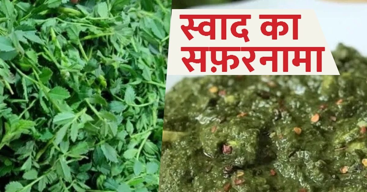 Journey of taste: Gram greens strengthen immunity, digestion is also strong, its history is interesting