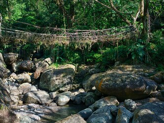  मेघालय की प्रचलित जगहों में चेरापूंजी (Cherrapunji) भी है. ये जगह भी घूमने के लिए एक खूबसूरत और अद्भुत पर्यटन स्थल माना जाता है. यहां आपको कई ऐसी खूबसूरत जगहें मिल जाएंगी जिसे देखकर किसी का भी मन झूमने लगता है. यहां की जलवायु और सुंदरता वाकई सैलानियों को बार बार आने के लिए आकर्षित करती है. Image : Canva