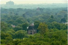 रिज इलाका है दिल्ली के फेफड़े जैसा, शहर वालों को देता है ऑक्सीजन : सुप्रीम कोर्ट का DDA को सख्त निर्देश