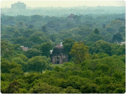 दिल्ली के केंद्र में शुष्क और हरेभरे जंगल या क्षेत्र को रिज एरिया कहा जाता है. (पीटीआई फाइल फोटो)