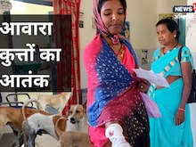 Ambikapur: आवारा कुत्तों के खौफ से बच्चों में दहशत, युवती का नोच लिया अंगूठा