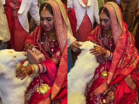 Dulhan Ka Video: विदाई समारोह के दौरान कुत्ता दुल्हन को जाने से रोकता है. (फोटो: सोशल मीडिया)