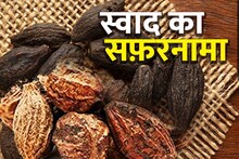 Journey of Taste: Harad is very beneficial for the body, Ayurveda considered it as nectar medicine, its history is interesting