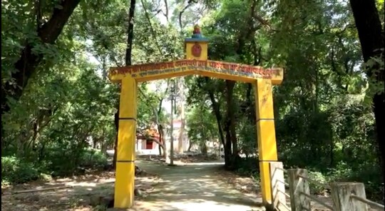 छत्तीसगढ़ के जांजगीर चंपा जिले में पहरिया पाठ जंगल है, जहां की लकड़ी को ग्रामीण अशुभ मानते हैं. 