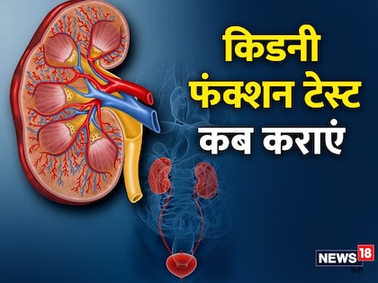 केएफटी से किडनी की सेहत के बारे में पता चलता है. केएफटी से किडनी की सेहत के बारे में पता चलता है.