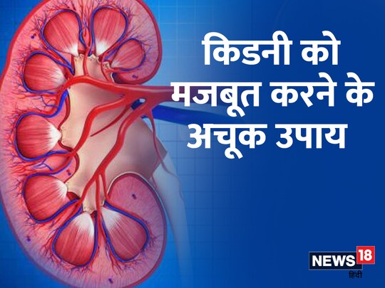किडनी हमारे शरीर से कई तरह के विषाक्त पदार्थों को बाहर निकालती है.