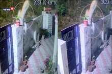 ہماچل کی وائرل ویڈیو: کتا جبڑے میں پھنس گیا، تیندوا چھت سے چھلانگ لگا کر دیوار کود گیا