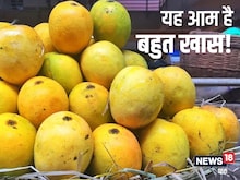 इस 1 मैंगो की कीमत जानकर फटी रह जाएंगी आंखें, यूं ही नहीं कहते फलों का राजा