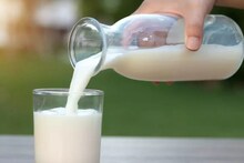 Milk Adulteration: दूध में मिलावट की पहचान अब मात्र 30 सेकंड में, IIT मद्रास ने बनाया यह अनोखा डिवाइस