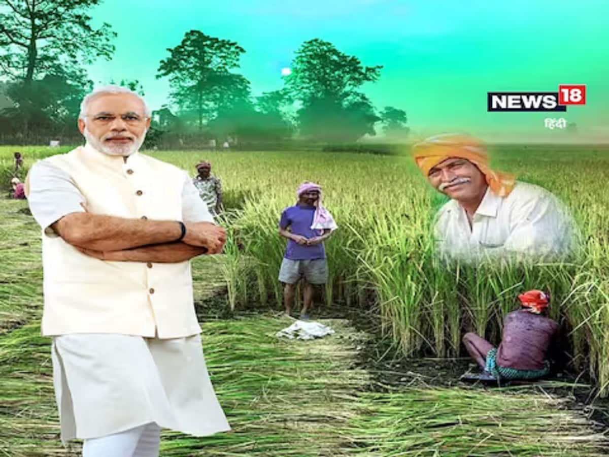 pm fasal bima schemes, Agriculture, Pradhan Mantri Fasal Bima Yojana, Crop Insurance, PMFBY, Farmers, Fasal Bima, modi governemnt, jharkhand, bihar, punjab, Agriculture News, Agriculture Department, Farmers News, Wheat, Formers News, Farming In india, Cotton, Punjab, Punjab news, Punjab Agriculture,प्रधानमंत्री फसल बीमा योजना, क्रॉप इंश्योरेंस, किसानों को फसल बीमा योजना का लाभ कैसे मिलेगा, कृषि न्यूज, भारत के किसान, भारतीय किसान, धान की खेती, गेहूं की खेती, चावल, मक्के की खेती, कपास की खेती, पंजाब में खेती, पंजाब न्यूज