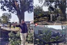 PICS: شملہ-دہرا دون ہائی وے پر چلتی کار پر درخت گرا، کانگریس ایم ایل اے روی ٹھاکر بال بال بچ گئے