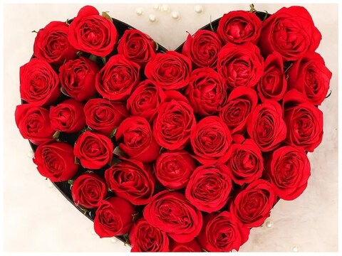 Rose Day 7th February: गुलाब ही क्यों है प्यार और भरोसे की निशानी.