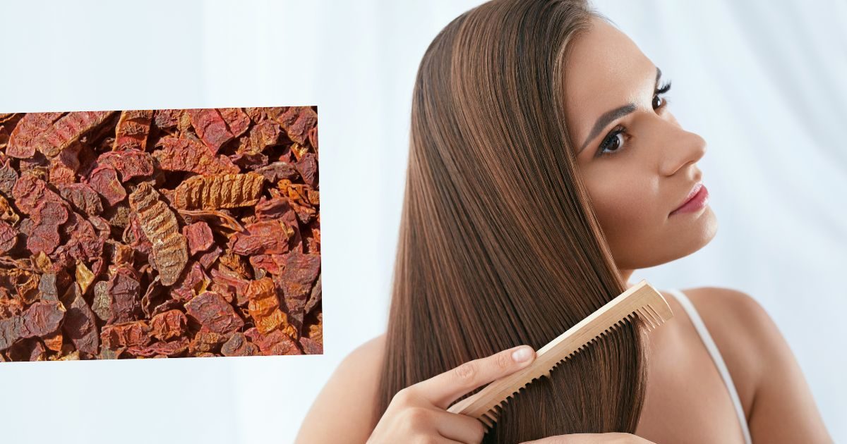 Apply these 3 hair masks made of Shikakai on hair, hair will become strong, dandruff will also stay away Apply these 3 hair masks made of Shikakai on hair, hair will become strong, dandruff will also stay away