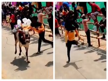 दौड़ते हुए सांड को शख्स ने बिना कारण मारा, फिर जो हुआ...लोग कहने लगे 'Karma'