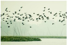 Valentine Day 2023: देहरादून की इन 6 जगहों पर अपने पार्टनर संग मनाएं वेलेंटाइन डे, खूबसूरती मोह लेगी मन