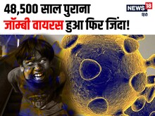 48 हजार साल पुराना जॉम्बी वायरस हुआ जिंदा, अब दुनिया में मचेगी तबाही!
