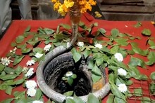 महाशिवरात्रि 2023: दिन में 3 बार बदलता है शिवलिंग का रंग, इकलौता मंदिर जहां होती है महादेव के अंगूठे की पूजा