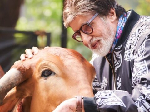 अमिताभ बच्चन अपनी फैमिली की हमेशा तारीफ करते रहते हैं. (फोटो साभार: amitabhbachchan/Instagram)