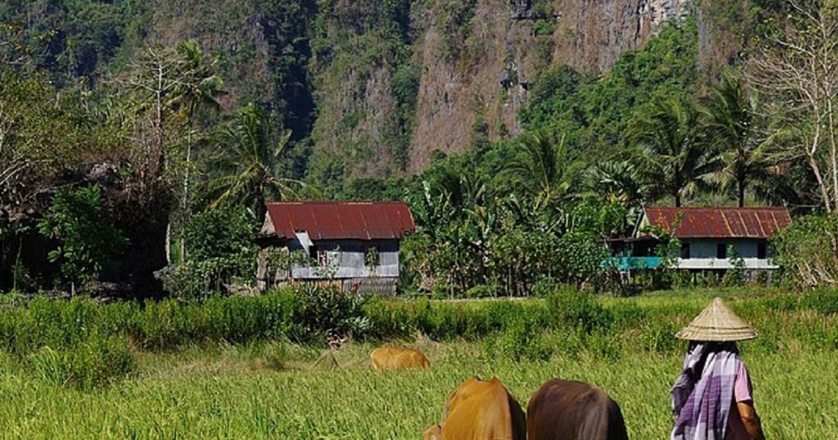 These 4 govt schemes are very important for the farmers know about kisan credit card and all the schemes - वरदान से कम नहीं हैं किसानों के लिए 4 योजनाएं, अभी तक