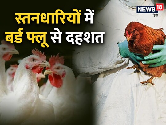 स्तनधारी जीवों में बर्ड फ्लू फैलने के बाद अब इंसानों में भी संक्रमण की आशंका जताई जा रही है. 