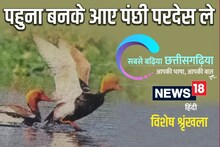 چھتیس گڑھی میں پڑھیں - بیرون ملک پرندے مہمان بن کر آئے