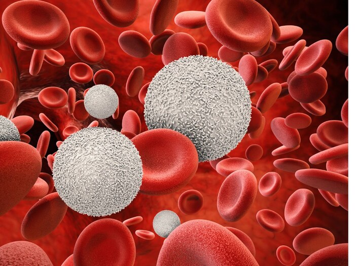 5 side effects of Flaxseeds do not consume excessive Flaxseed it can