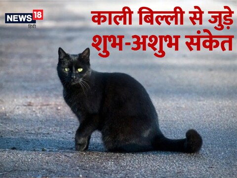 काली बिल्ली दाईं तरफ चलती हुई नजर आए तो यह शुभ संकेत होता है.