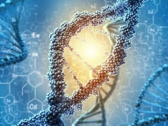  शोध बताते हैं कि मौत के बाद हमारी जींस ज़िंदा रहती है. जानकारी के मुताबिक डीएनए मृत्यु के बाद ही ज्यादा एक्टिव होता है और अधिक मात्रा में प्रोटींस बनाने लगता है. इतने ही नहीं इंसान के शरीर में पाचन क्रिया भी चलती रहती है. अमीनो एसिड की वजह से शरीर से दुर्गंध भी आ सकती है, यही वजह है कि नाक और मुंह को रुई से ढंका जाता है.