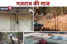 हाथियों का आतंक ऐसा कि शाम होते गांव में लटक जाता है ताला, घर छोड़ मायके भाग रहीं महिलाएं