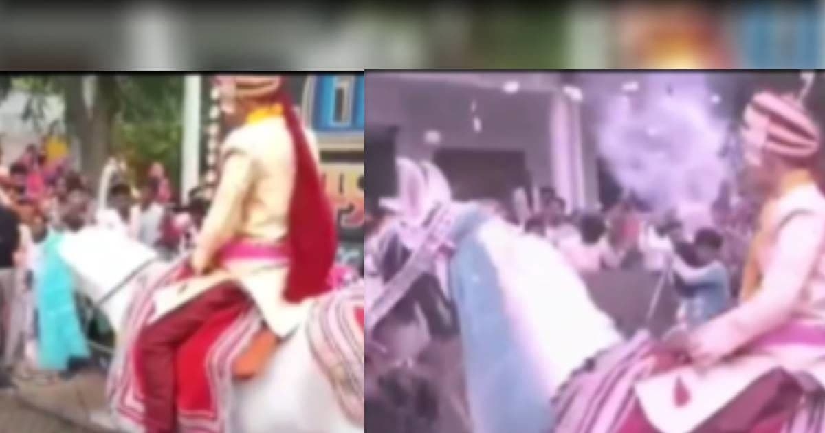 Before marriage, the mare ran away with the groom, the procession ran behind, watch Viral Video!
