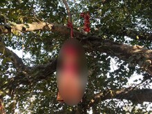 जयमाल के बाद लापता हुई दुल्हन का पेड़ से लटका मिला शव, जांच में जुटी पुलिस