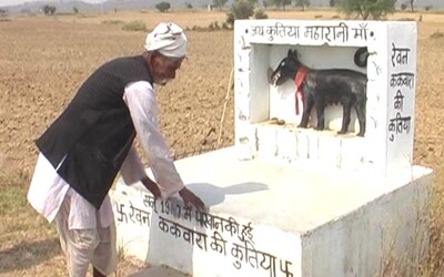  यहां के लोगों का कहना है कि एक कुतिया इन दोनों गांवों में रहती थी, जो किसी भी आयोजन में खाने पहुंच जाती थी. एक बार रेवन गांव में भोजन का कार्यक्रम था. रमतूला की आवाज सुनते ही कुतिया खाना खाने के लिए रेवन गांव में पहुंच गई. लेकिन, वहां खाना खत्म हो चुका था. इसके बाद वह ककवारा गांव पहुंची, वहां भी खाना नहीं मिला और इस तरह वह भूख से मर गई.