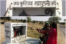 Photos: 'जय कुतिया महारानी मां', देखिए यूपी के इस अनोखे मंदिर की तस्वीरें