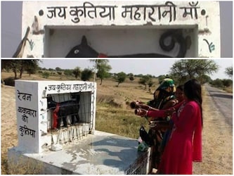  इलाके के ही रहने वाले इतिहास के जानकार हरगोविंद कुशवाहा का कहना है कि कुतिया की मौत से दोनों गांव के लोगों को बहुत दुख हुआ था, जिसके बाद उन्होंने कुतिया को दोनों गांव की सीमा पर गाड़ दिया और कुछ वक्त बाद वहां एक मंदिर बना दिया. अब परंपरा ये है कि अगर आसपास के गांव में कोई आयोजन होता है तो लोग इस मंदिर पर जाकर भोजन चढ़ाते हैं.